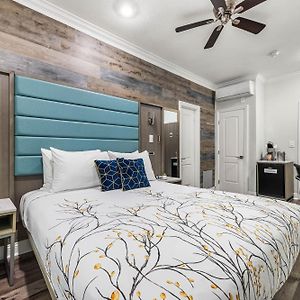 Cozy Queen Room